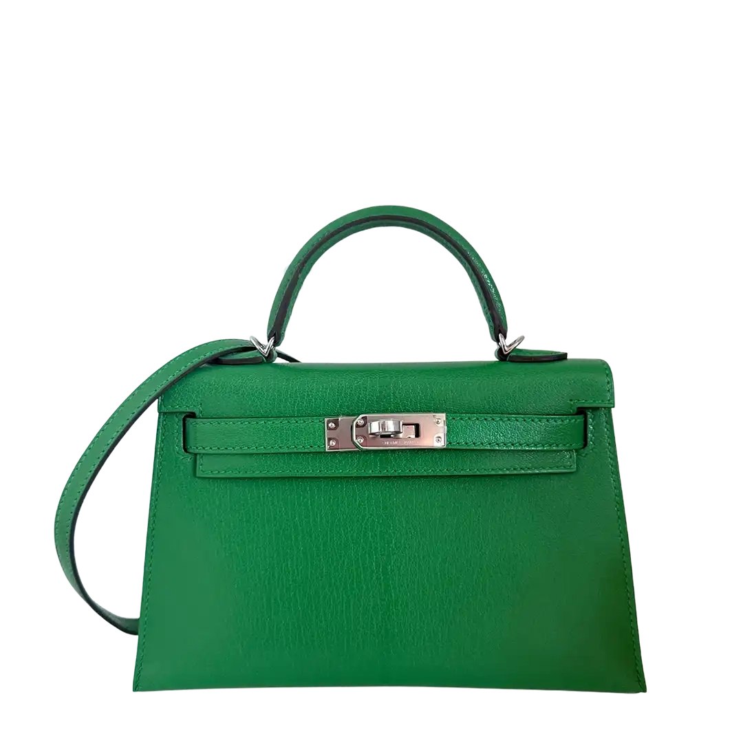 Mini Kelly II 20 Sellier Chevres